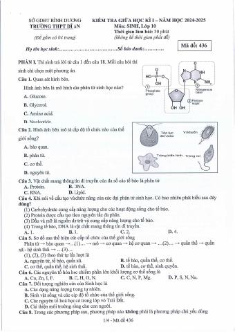 Đề thi Giữa kì 1 Sinh học 10 năm 2024-2025 trường THPT Dĩ An (Bình Dương)